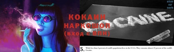 гашик Алексеевка